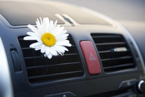 Close-up view of the air conditioning vents in a car, one of which has a flower on it. 