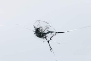 A close-up view of a round chip in a windshield.