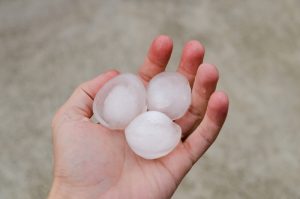 Close-up of a hand holding large hail stones.