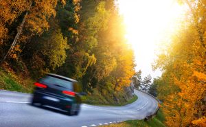 Car on the road in the fores