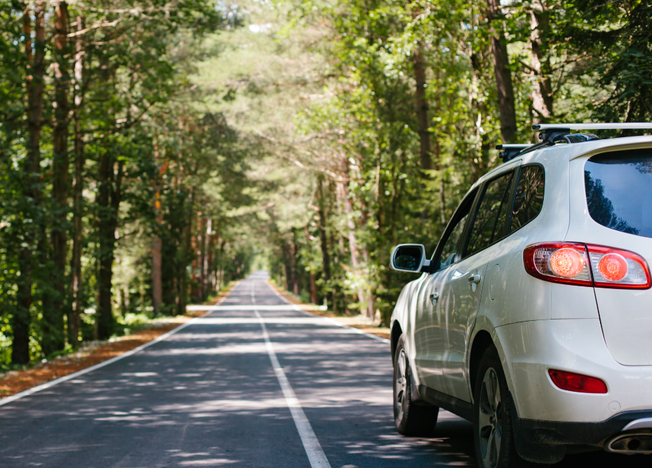 Car holiday traveling